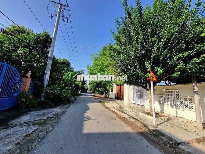 CHỦ XOAY TIỀN LẤY HÀNG, GỬI BÁN LÔ ĐẤT TƯỜNG RÀO KIÊN CỐ 261M2, SHR!