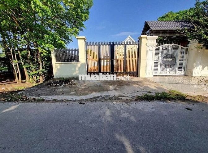 CHỦ XOAY TIỀN LẤY HÀNG, GỬI BÁN LÔ ĐẤT TƯỜNG RÀO KIÊN CỐ 261M2, SHR!