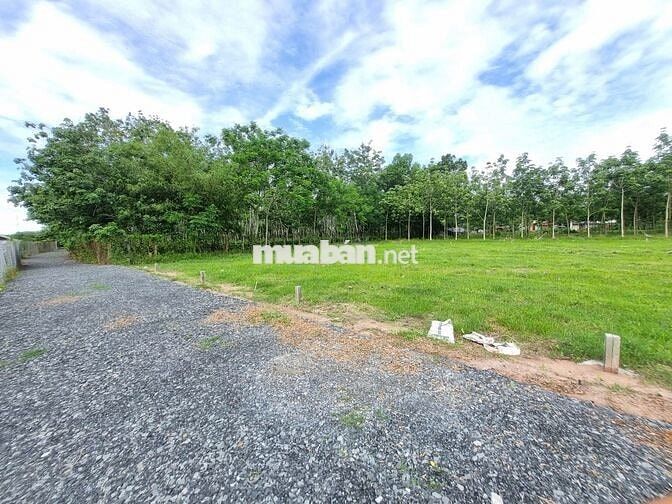 5x33 full thổ cư, đường thông. Gần KCN. 395tr
