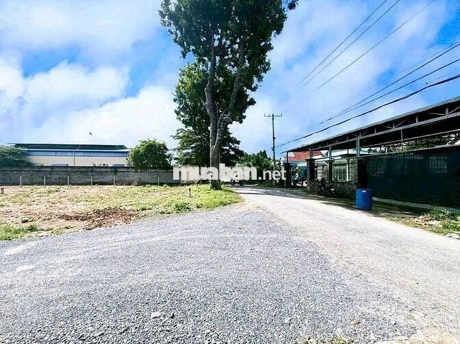 💥 SỞ HỮU LÔ 121M² GIÁ 700TR TRONG NGÀY Ở  PHƯỚC VĨNH AN CHÚ TÂN BÁN 💥