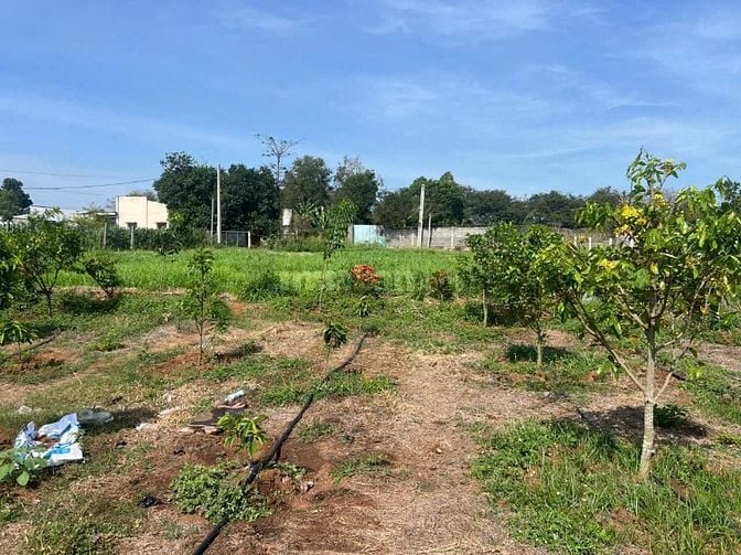 Bán lô đất bao đẹp tại Quốc lộ 91, Mỹ Phú, Châu Phú, An Giang, 23 tỷ, 