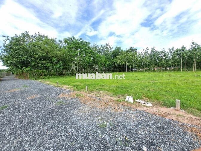5x33 full thổ cư, đường thông. Gần KCN. 395tr