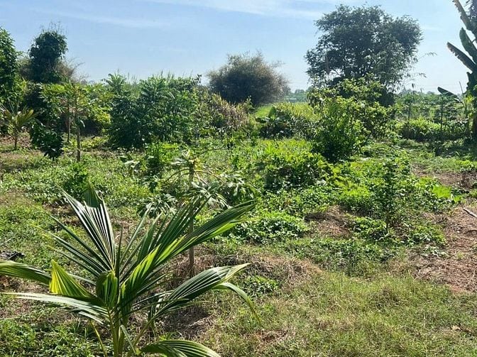 Bán lô đất bao đẹp tại Quốc lộ 91, Mỹ Phú, Châu Phú, An Giang, 23 tỷ, 