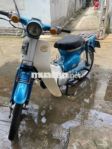 Honda Cub 86/50cc biển 50BC_6898