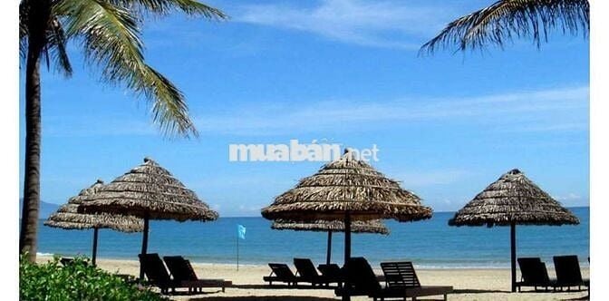 ĐẤT SÁT BIỂN hiếm nằm giữa ĐN và HỘI AN, bên cạnh khu resort 5 sao