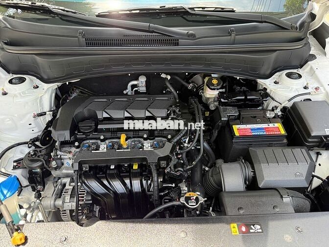 Kia Seltos 1.5 Premium 2024 Form mới-6000km