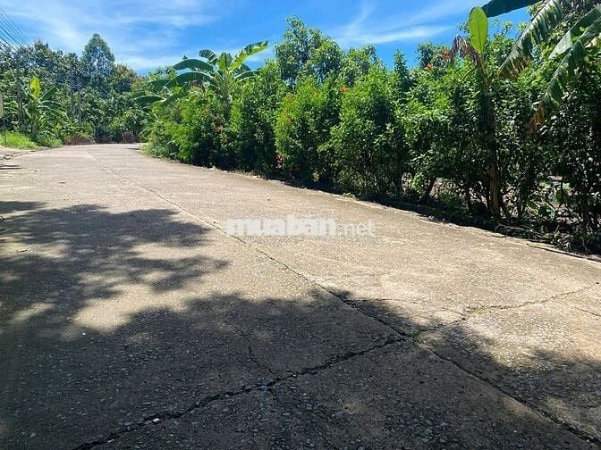 BÁN 3000M2 CÓ SẴN 100M2 THỔ CƯ,30M MẶT TIỀN BÊ TONG,DÂN CƯ Ở ĐÔNG ĐÚC.
