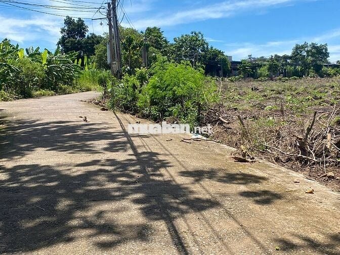 BÁN 3000M2 CÓ SẴN 100M2 THỔ CƯ,30M MẶT TIỀN BÊ TONG,DÂN CƯ Ở ĐÔNG ĐÚC.