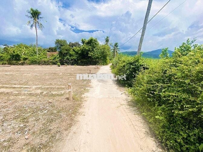 BÁN LÔ ĐẤT THỔ CƯ 222m2 TRUNG TÂM HÀNH CHÍNH HUYỆN SƠN HOÀ
