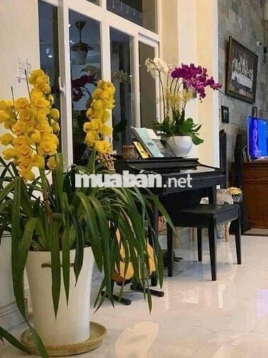 💫🌷Biệt thự Khu D2D - Phường Thống Nhất - BH