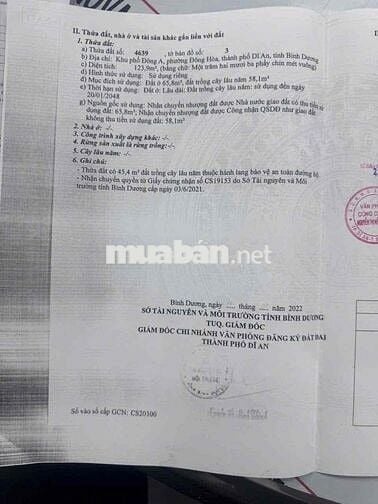 Đất Mặt Tiền Đường Huỳnh Tấn Phát 124m, Đường Thông Kinh doanh Mua Ban