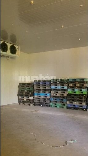 CẦN CHO THUÊ NHÀ XƯỞNG KHO LẠNH MẶT TIỀN KM 19 HUYỆN HÀM THUẬN NAM