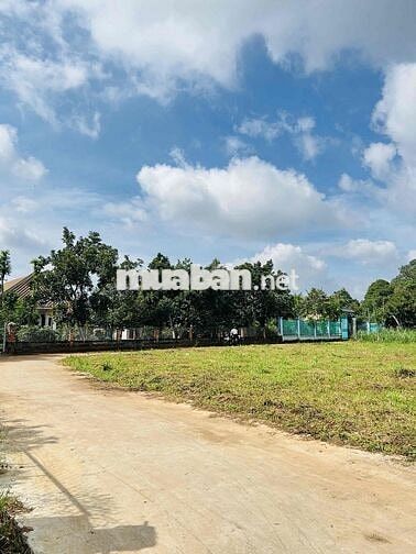 Bán đất mặt tiền ngay núi Chứa Chan, Xuân Lộc - Đồng Nai chỉ 680tr