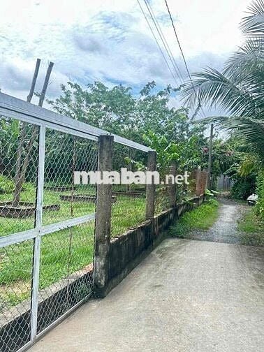 BÁN ĐẤT Xã BÌNH CHÁNH  full Thổ 121m2 Đất ONT
