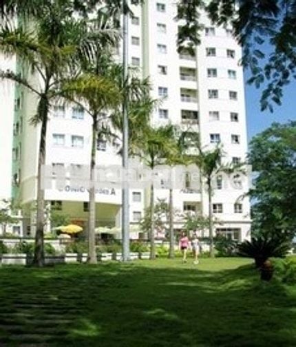 Cần bán căn hộ Conic Garden 13B Nguyễn Văn Linh, Xã Phong Phú,