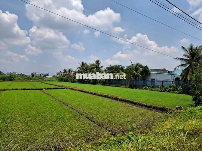 ĐẤT 3 MẶT TIỀN , ĐẸP , NỞ HẬU , MẶT TIỀN SÔNG.