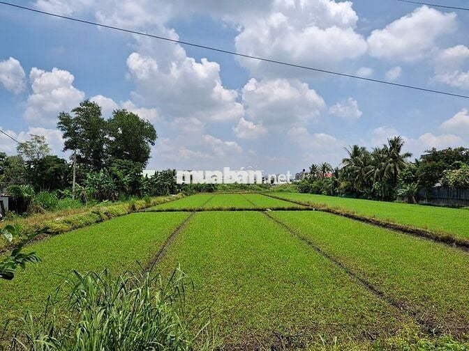 ĐẤT 3 MẶT TIỀN , ĐẸP , NỞ HẬU , MẶT TIỀN SÔNG.