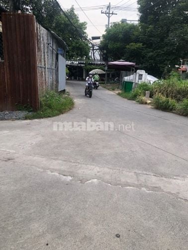 Chính chủ bán nhà hẻm đầu tiên Trần Thị Cờ