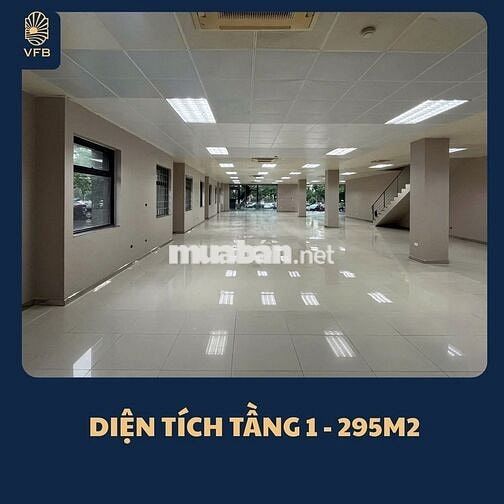 🌟 TÒA NHÀ TÀI CHÍNH VIỆT ĐỨC - VĂN PHÒNG CHO THUÊ  🌟