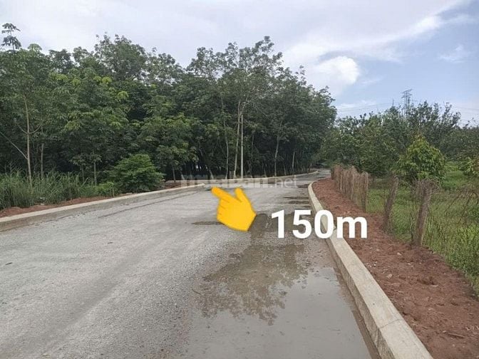 780tr /100m2 ĐẤT AN ĐIỀN THÀNH PHỐ BẾN CÁT BÌNH DƯƠNG