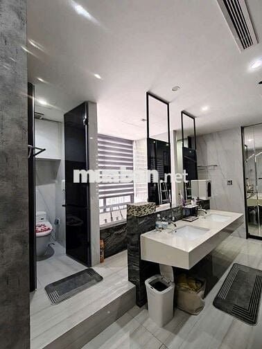 Cho thuê Biệt thự Đường Trần Xuân Soạn gần Lotter mark Quận 7