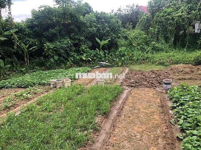 MẶT TIỀN RỘNG –GIÁ rễ vào việc – FULL THỔ CƯ ,