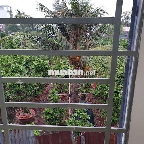 Chính chủ Cho thuê nhà nguyên căn đường số 24, p Linh Đông, Thủ Đức