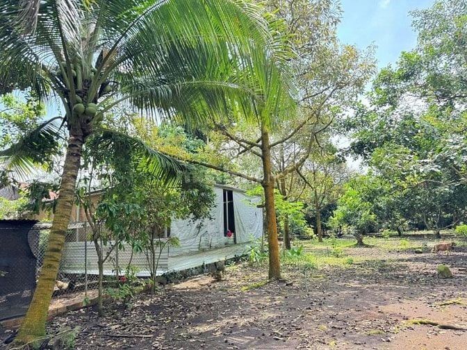 Bán đất thổ vườn có nhà cấp4 rộng 2600m2 giá rẻ 630tr ngay UBTân Hiệp