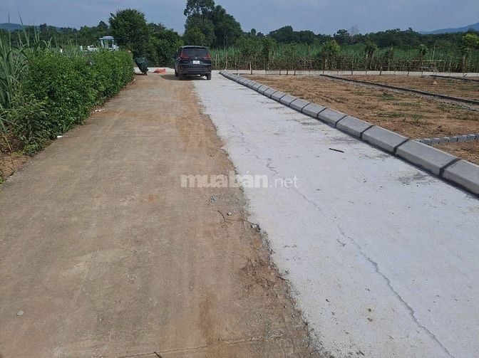 Đất nền thanh hoá giá rẻ tại thạch thành 