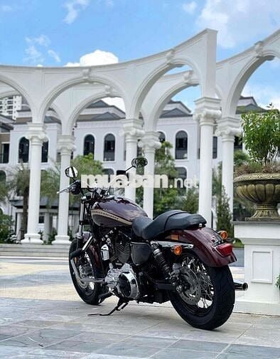 Harley Davidson Custom XL 1200