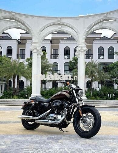 Harley Davidson Custom XL 1200