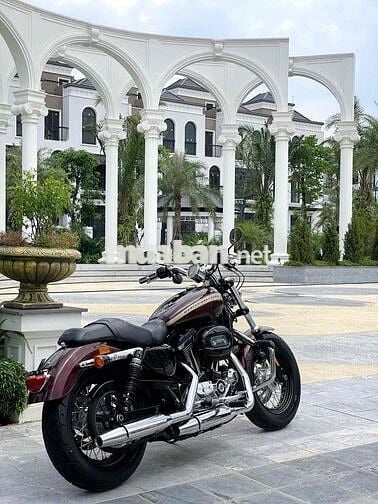 Harley Davidson Custom XL 1200