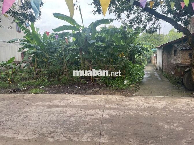 🔥 ĐẤT ĐẸP 2 MẶT TIỀN – 430m² Cao Viên, GIÁ CHỈ 3,5 TỶ! 🔥
