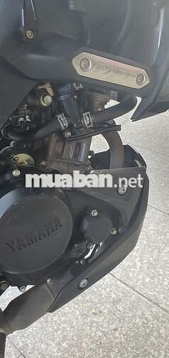 Bán MT15 2021