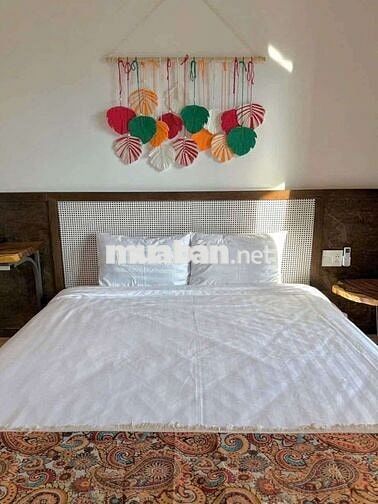 🏡 CHO THUÊ NHÀ NAM VIỆT Á - KHU ĐÔ THỊ ĐẲNG CẤP*