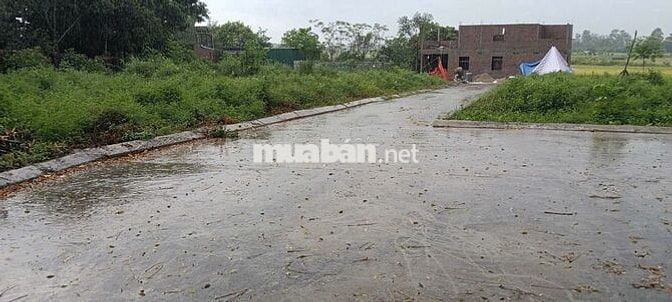 🚘 59M² FULL THỔ CƯ – XÃ NỘI BÀI – ĐƯỜNG OTO TRÁNH GIÁ NHỈNH TY🚘 🚘 59M² FULL THỔ CƯ – XÃ NỘI BÀI – ĐƯỜNG OTO TRÁNH GIÁ NHỈNH TY🚘