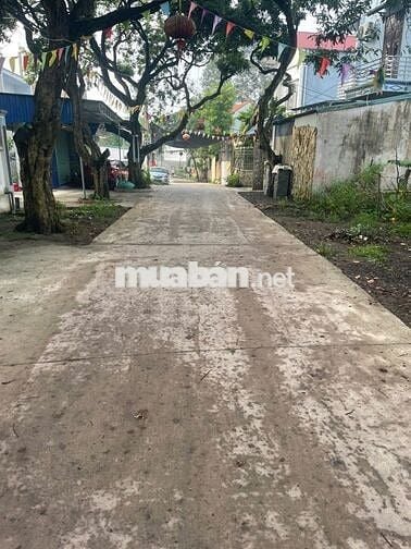 🔥 ĐẤT ĐẸP 2 MẶT TIỀN – 430m² Cao Viên, GIÁ CHỈ 3,5 TỶ! 🔥