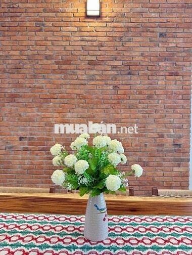 🏡 CHO THUÊ NHÀ NAM VIỆT Á - KHU ĐÔ THỊ ĐẲNG CẤP*