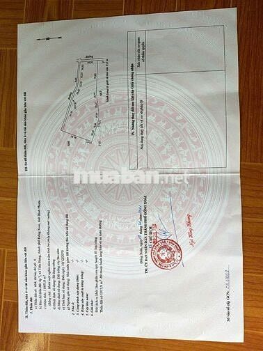 Bán gấp đất tại Xã Tiến Hưng, Đồng Xoài, Bình Phước, 15ty4, 1ha1