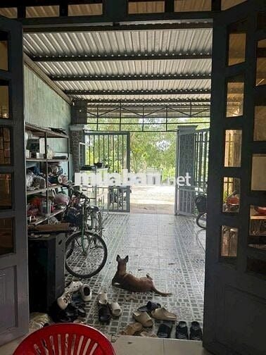 Bán nhà Đ.Hồ Thị Lai, Tân Phú Trung, 5x28=140m2 SHR xây kiên cố 1tỷ530