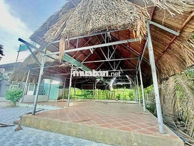 Cho thuê mặt bằng & nhà ở (1200m2),Võ Nguyên Giáp,Phước Tân , Đồng Nai