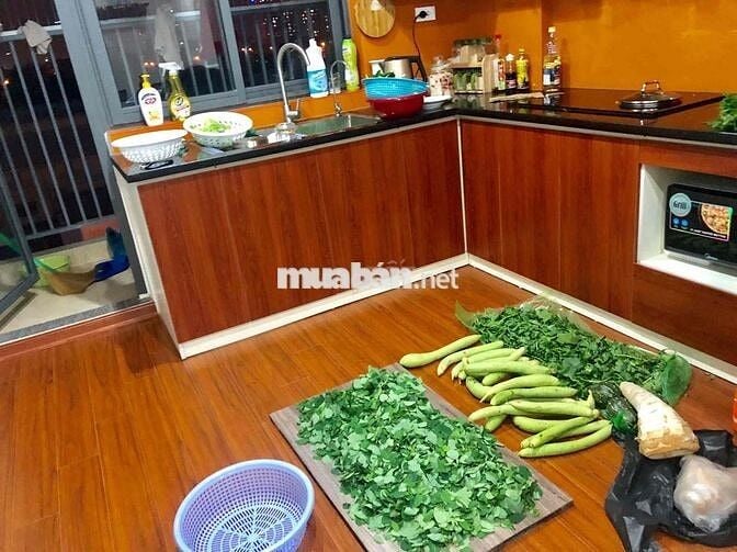 Cần bán căn hộ 67m2 2n2vs tầng đẹp toà v2 thevesta