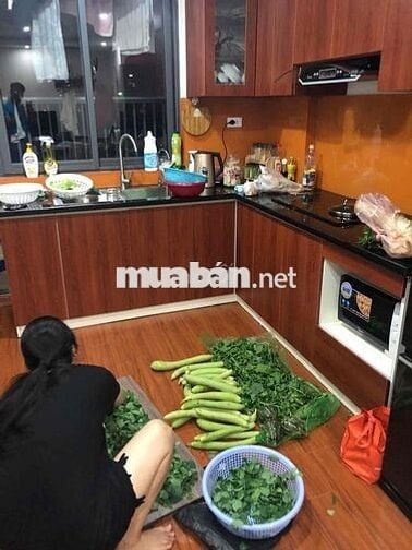Cần bán căn hộ 67m2 2n2vs tầng đẹp toà v2 thevesta