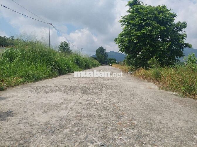 Bán đất ấp 1 tóc tiên, nay là xã châu pha tphcm