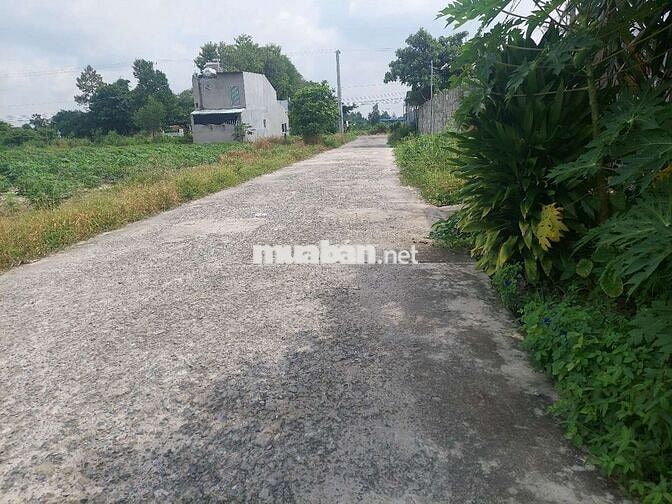 Bán đất ấp 1 tóc tiên, nay là xã châu pha tphcm