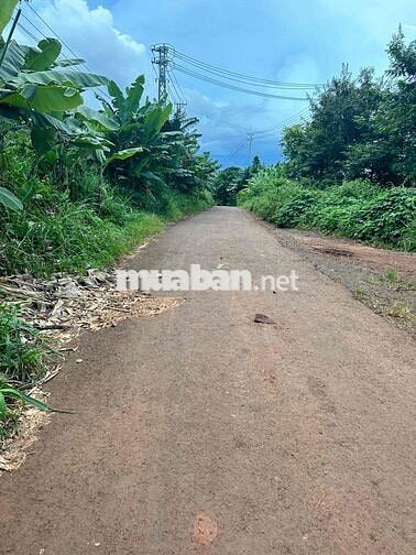TRỤC CHÍNH - Thôn 6 - Cư Êbur thông qua Y Moal __ DT: 10m x 60m