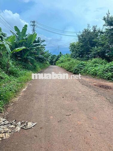 TRỤC CHÍNH - Thôn 6 - Cư Êbur thông qua Y Moal __ DT: 10m x 60m