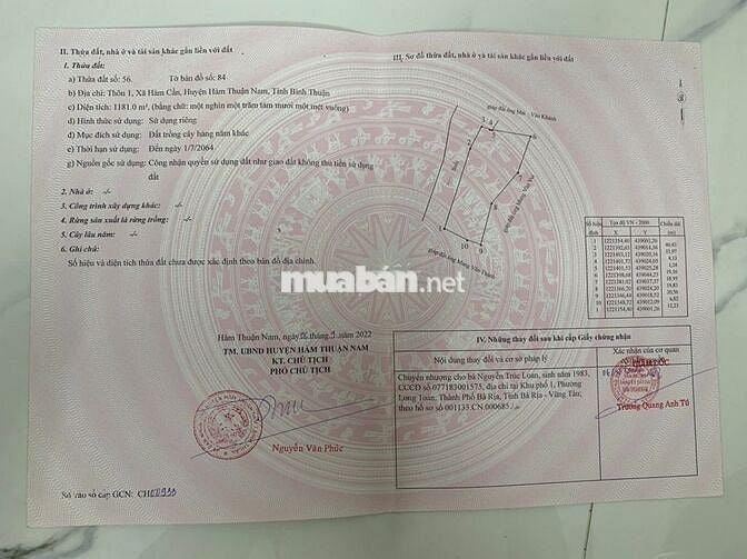 Bán 1 sào 2 đất CLN tại Hàm Cần, Hàm Thuận Nam, BT giá chỉ 125tr