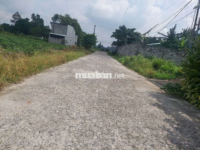 Bán đất ấp 1 tóc tiên, nay là xã châu pha tphcm