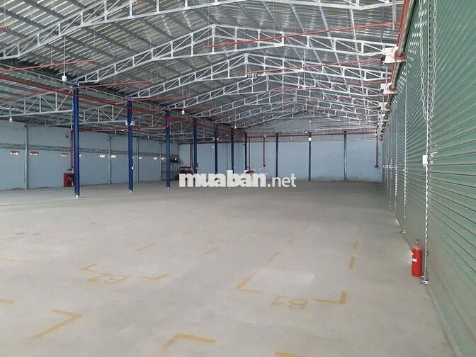 CHO THUÊ KHO 1100m2 MẶT TIỀN ĐƯỜNG VÕ THỊ SÁU – LONG TÂM, TP. BÀ RỊA